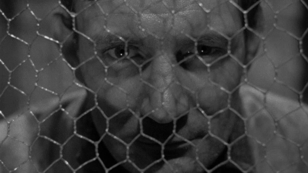 They Made Me a Fugitive still 3