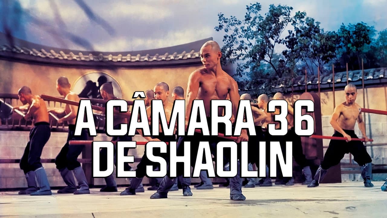 The 36th Chamber of Shaolin still 3