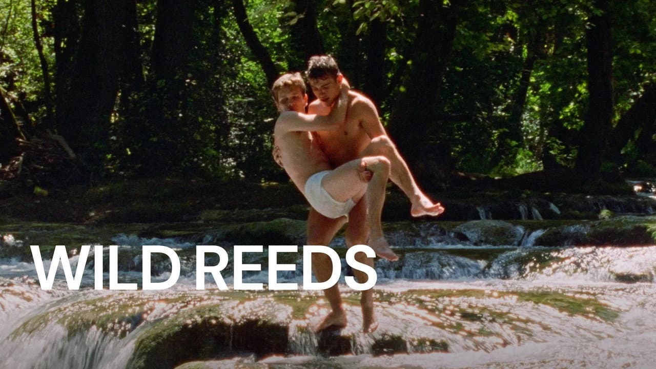 Wild Reeds still 6