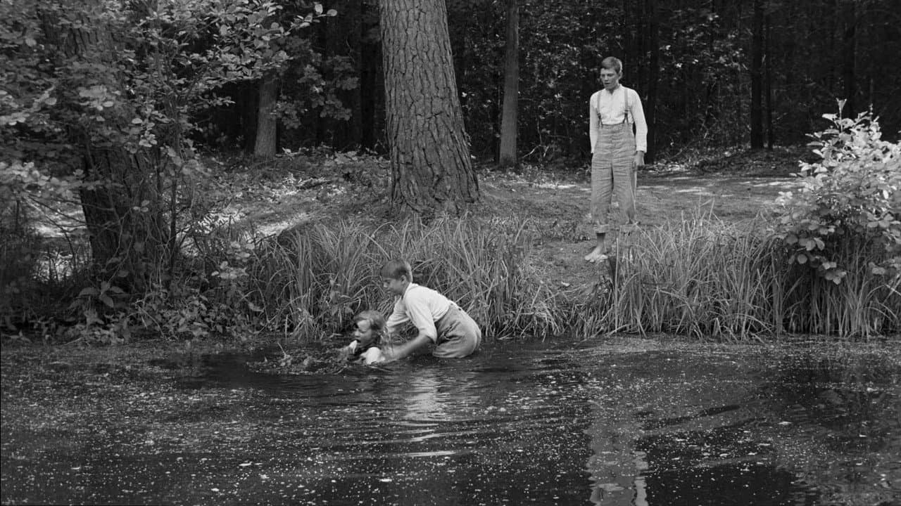 The White Ribbon still 8