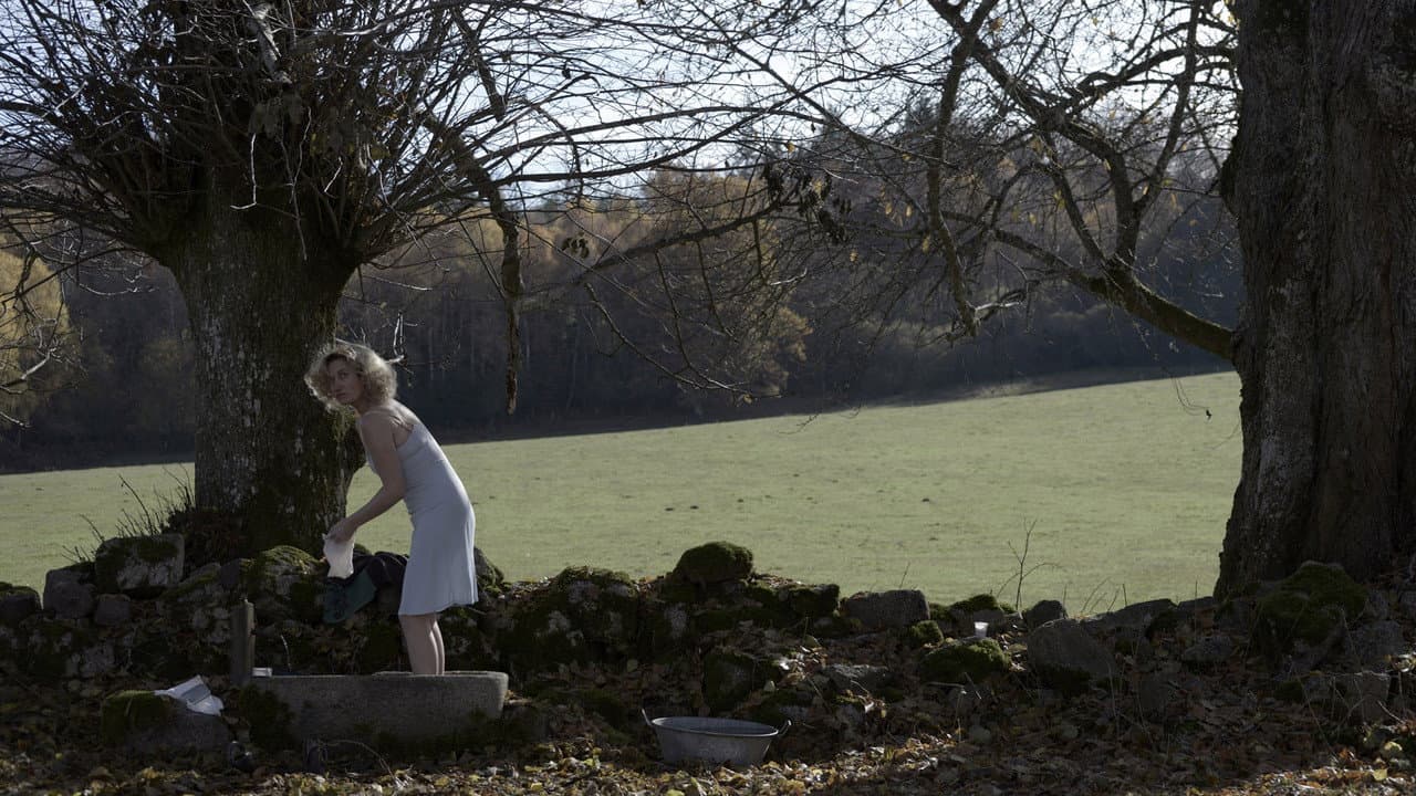 Violette still 5