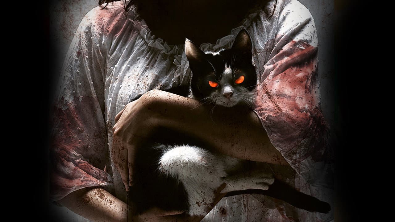 The Cat still 1