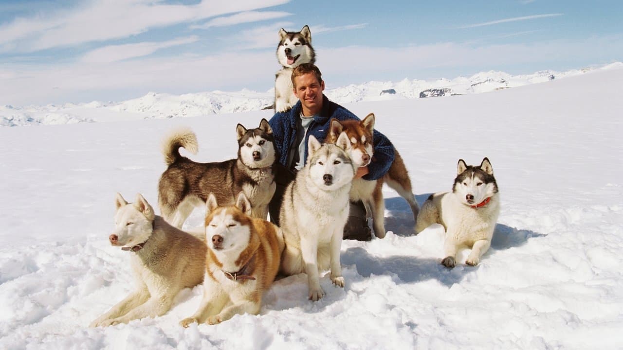 Eight Below still 4