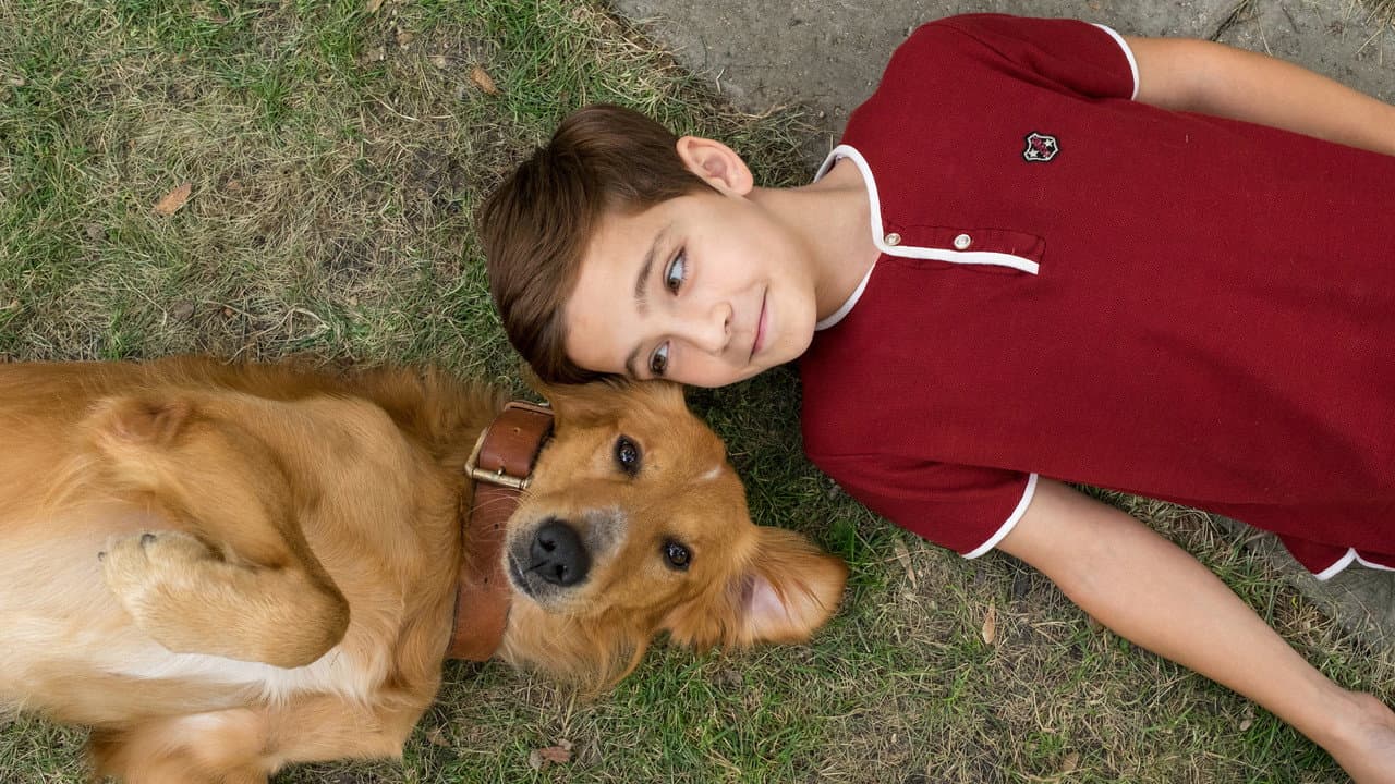 A Dog's Purpose still 3