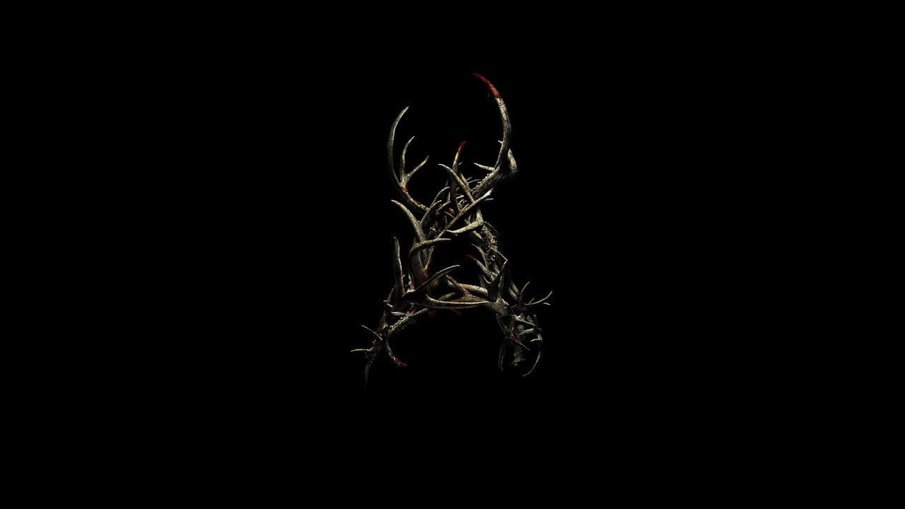 Antlers still 3