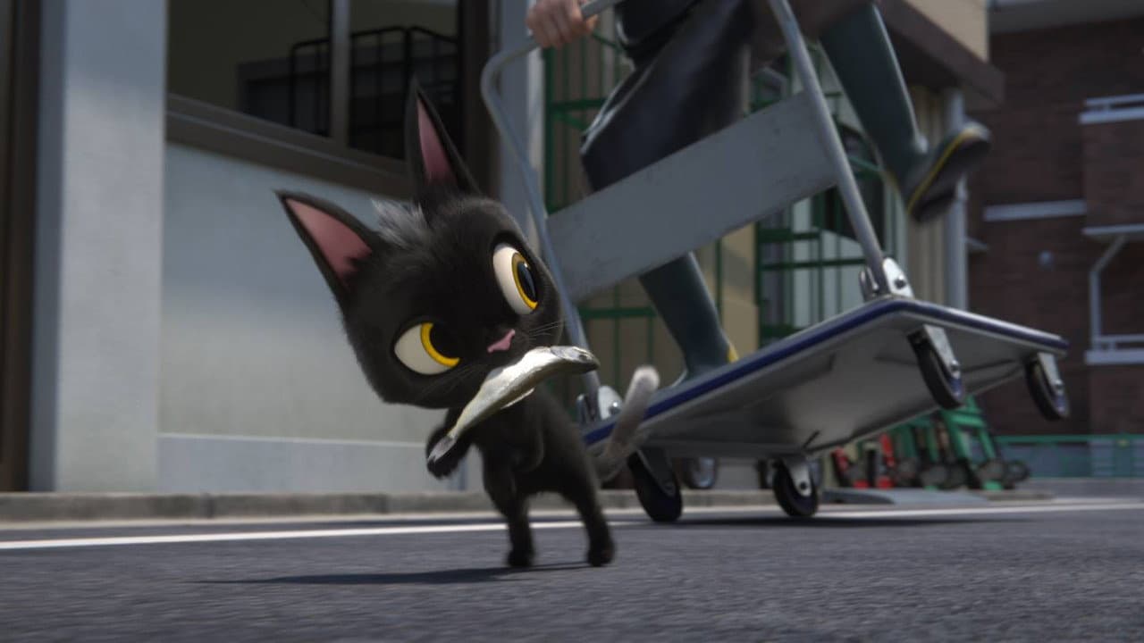 Rudolf the Black Cat still 6