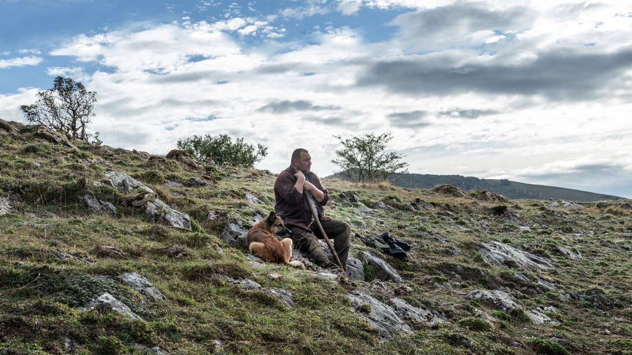 The Beasts still 8