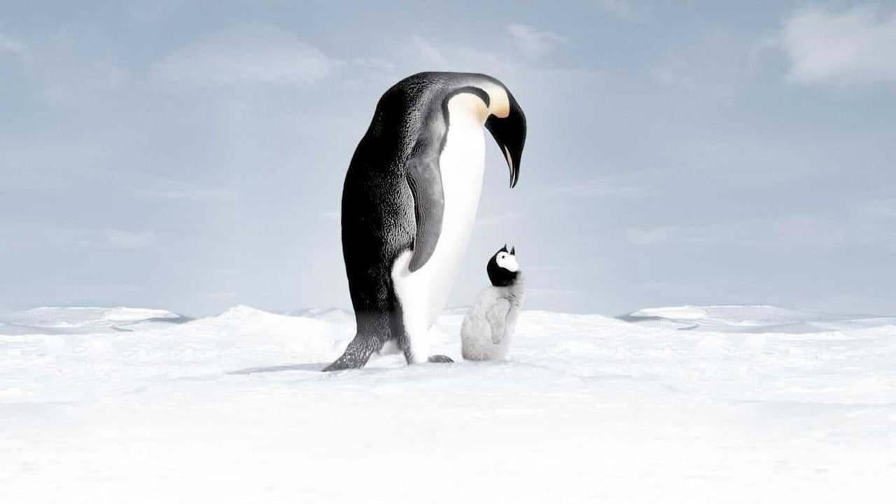 March of the Penguins still 4