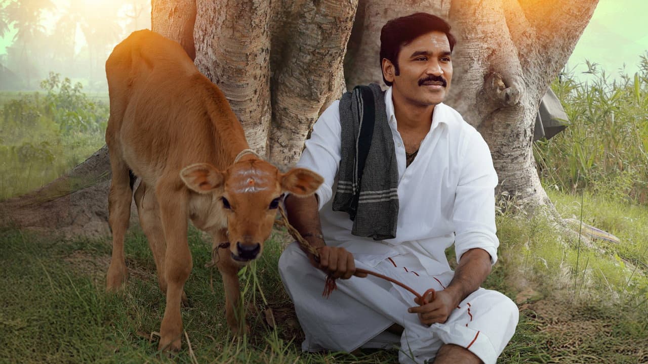 Idli Kadai still 1