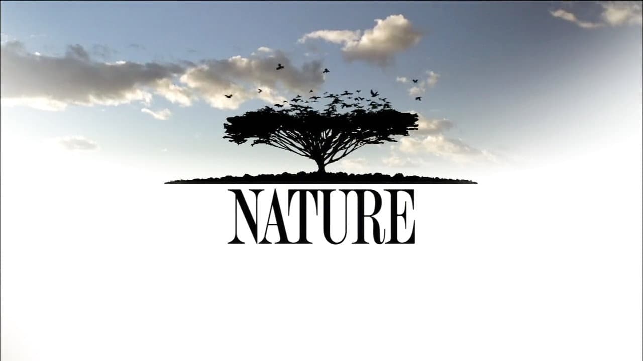 Nature Season 45 Review: PBS Wildlife Doc Still Soars still 8