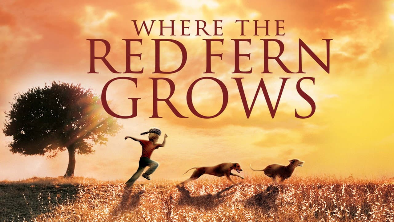 Where the Red Fern Grows still 7