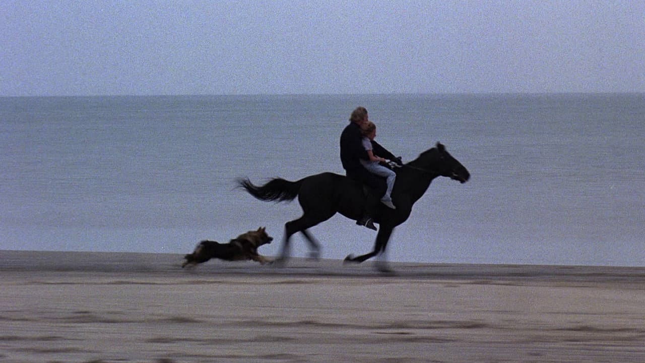 Equus still 4