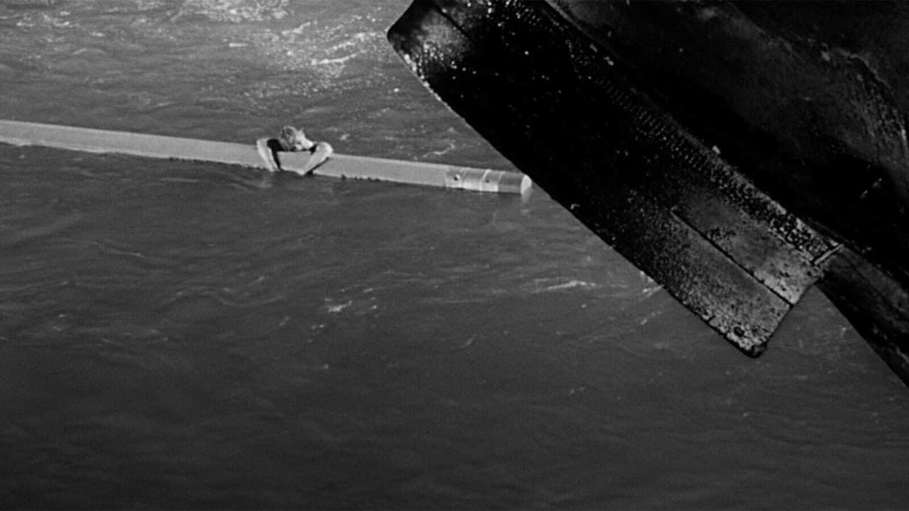 The Incredible Shrinking Man still 6