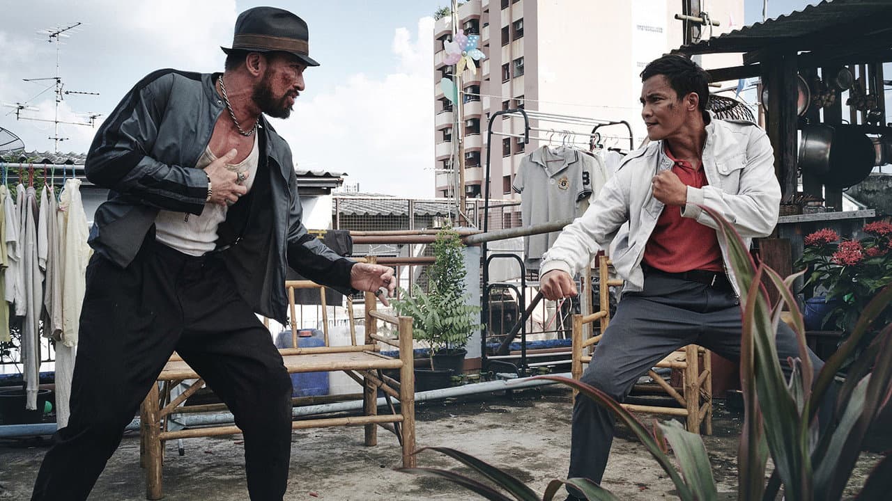 Paradox still 5