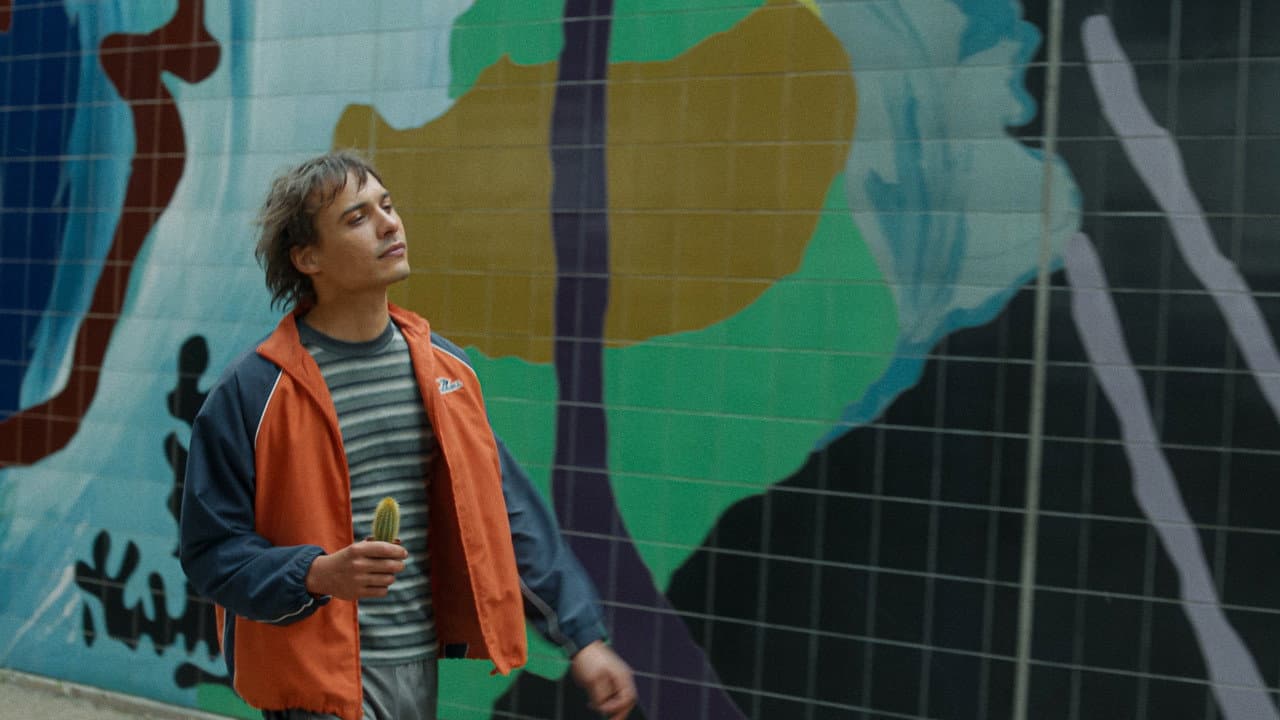 Urchin still 8