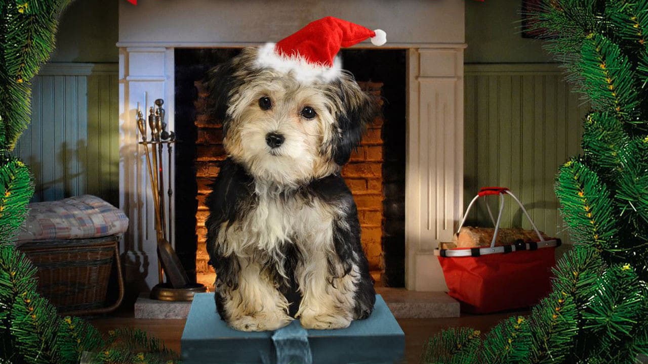 Santa Buddies still 5
