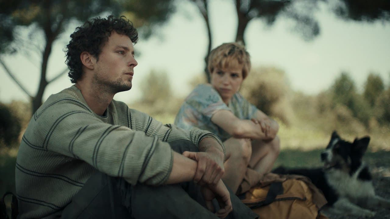 Shepherds still 1