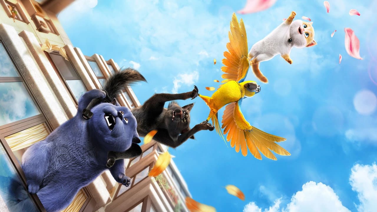 Cats still 4