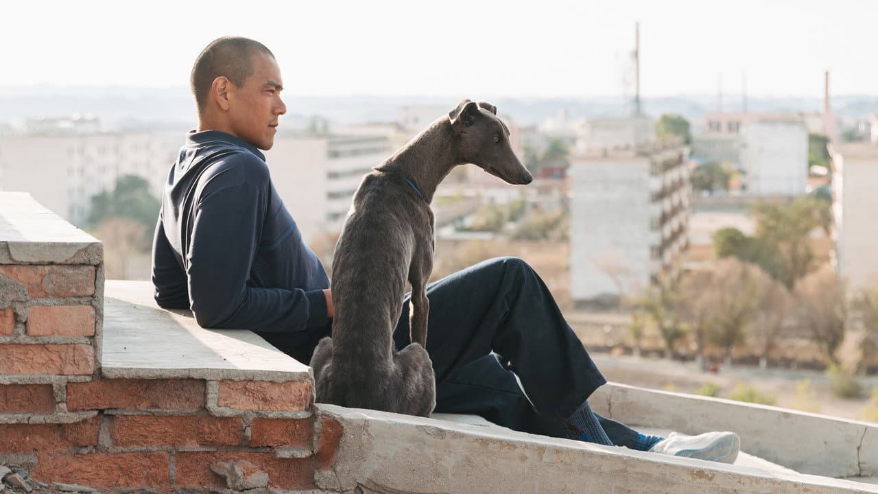 Black Dog still 7