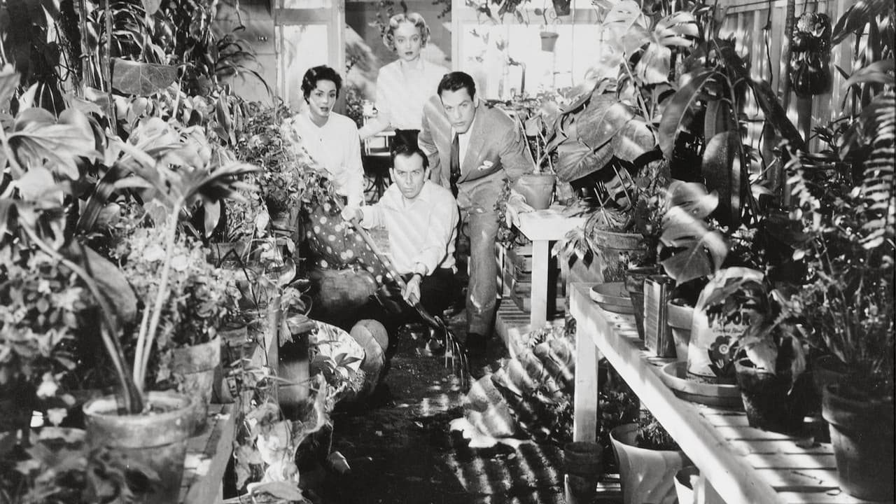 Invasion of the Body Snatchers still 1