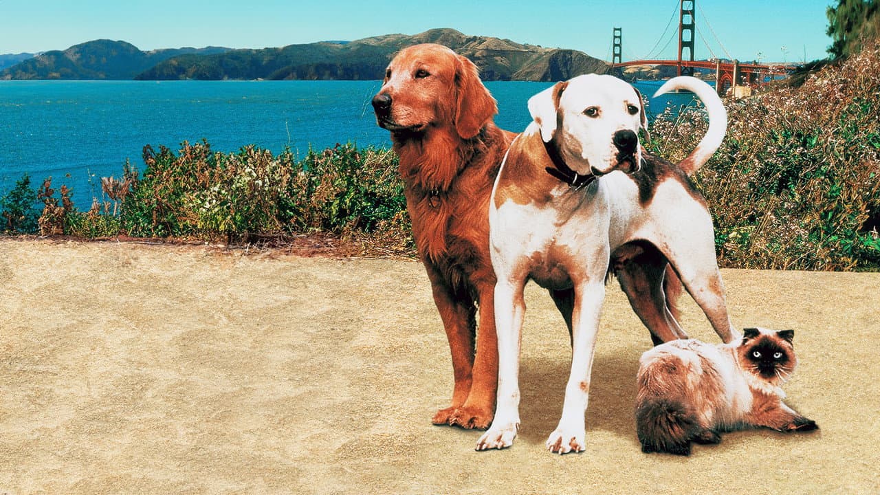 Homeward Bound II: Lost in San Francisco still 5