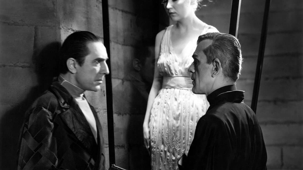 The Black Cat still 5