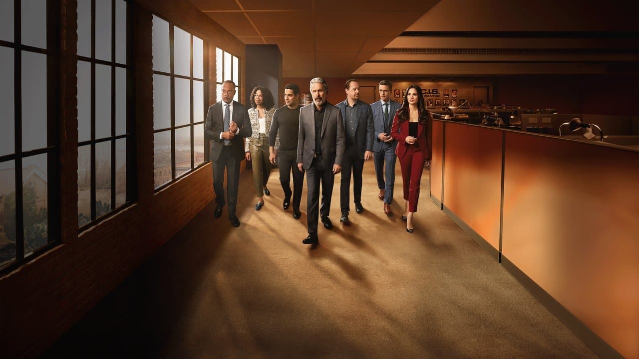 NCIS Season 24 Review: Still Standing After 20+ Years still 3