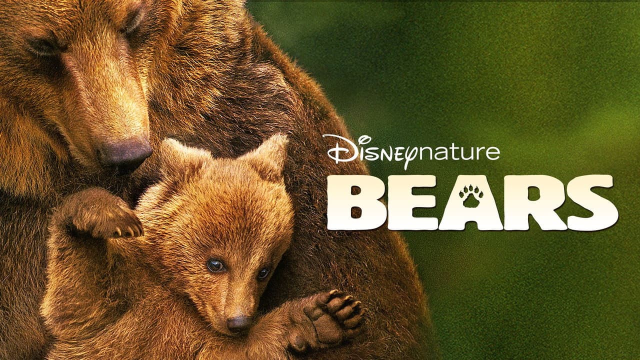 Bears still 4