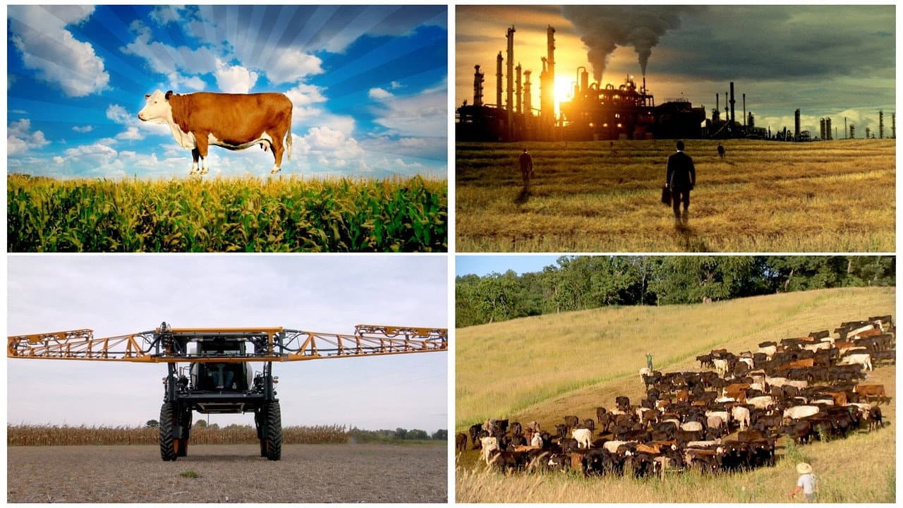 Food, Inc. still 3