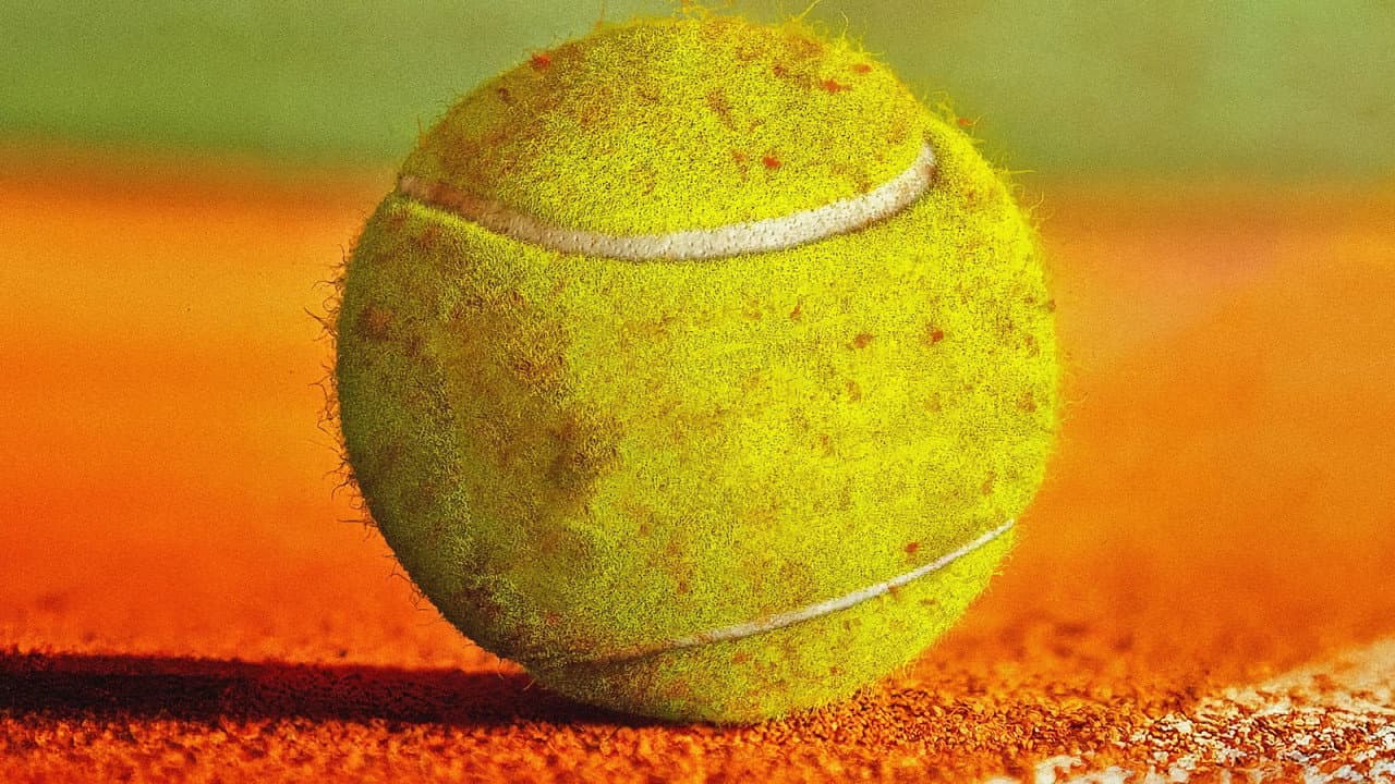 My Tennis Maestro still 3
