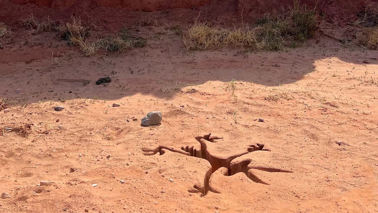Coyote vs. Acme Movie News: Updates & Buzz still 3