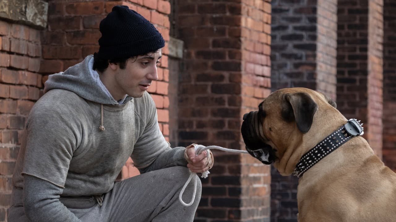 I Play Rocky: Stallone Jokes About 2026 Biopic