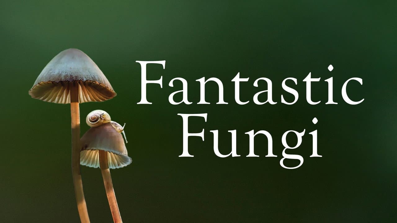 Fantastic Fungi still 4