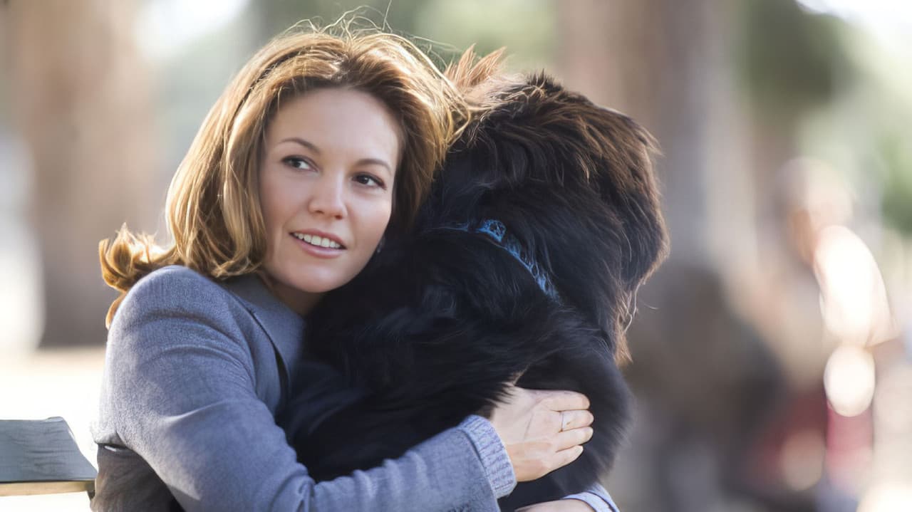 Must Love Dogs still 5