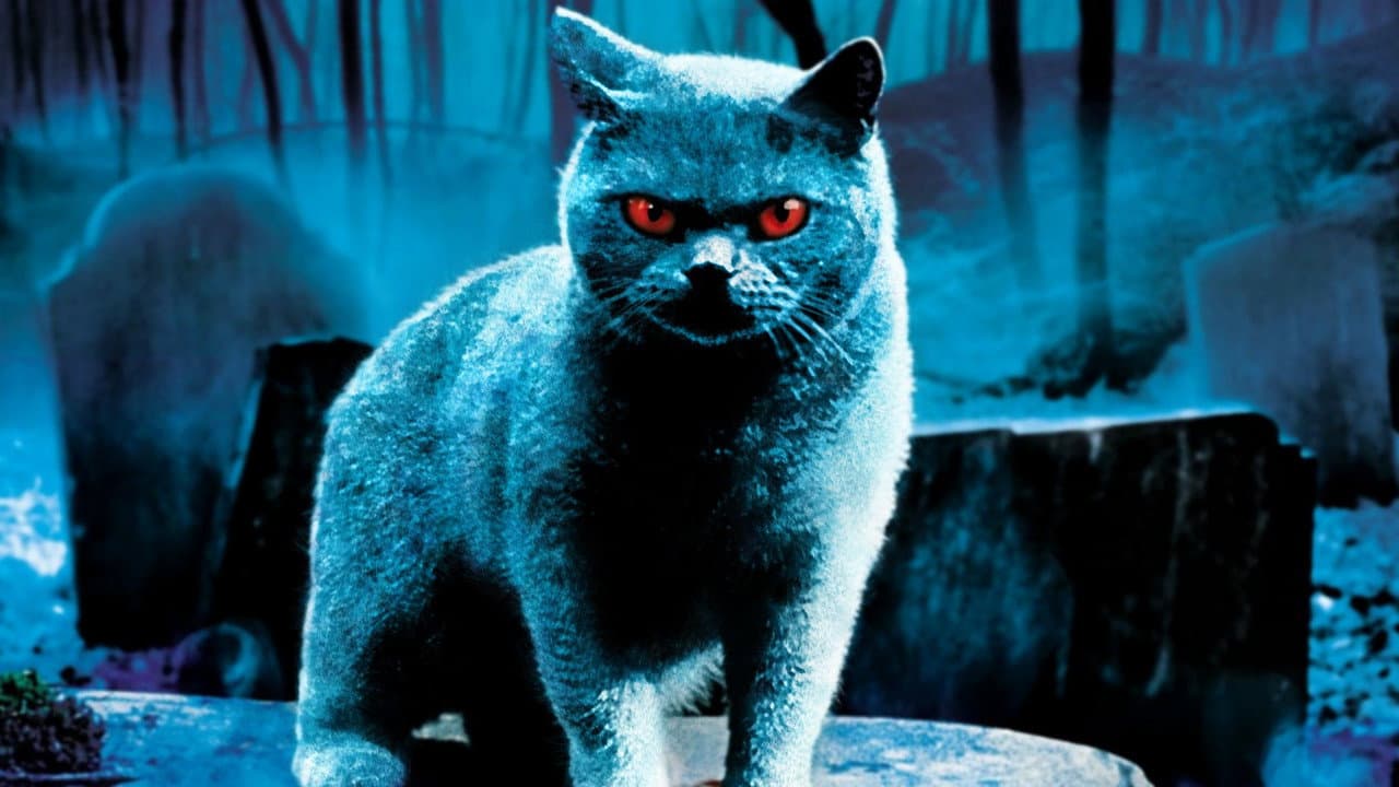 Pet Sematary still 7