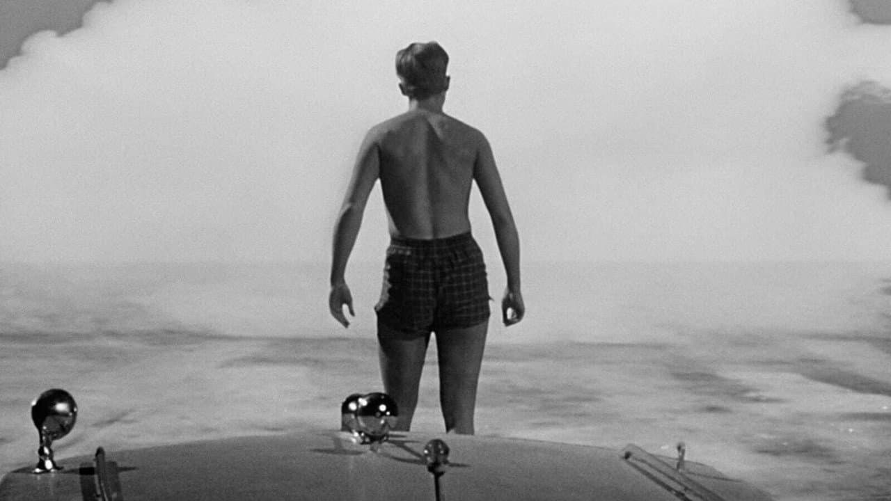The Incredible Shrinking Man still 7
