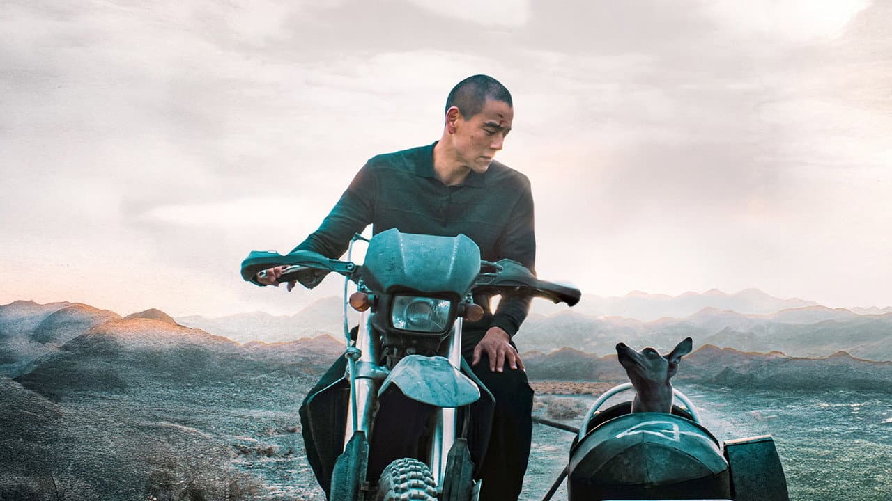 Black Dog still 1
