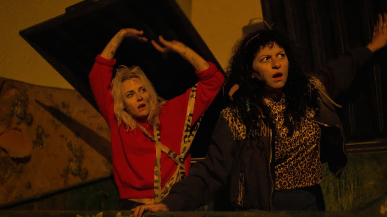 The Wrong Girls (2026): Meyer's Twisted Thriller Review