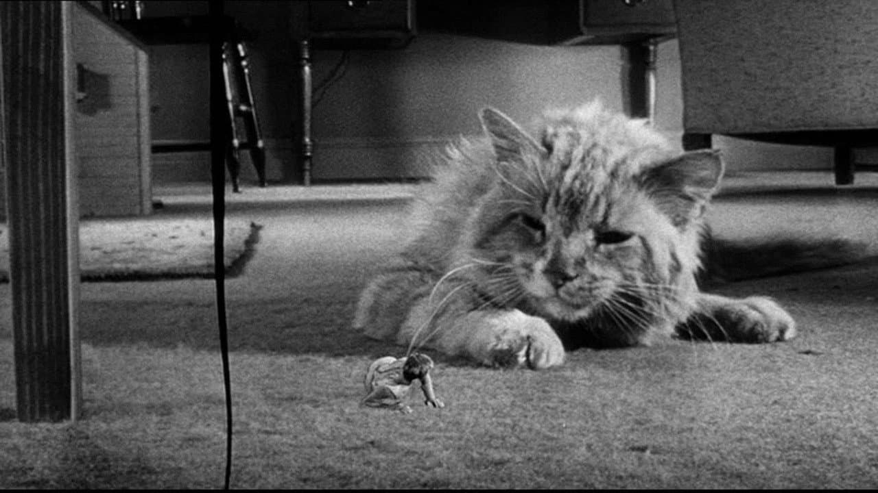 The Incredible Shrinking Man still 2
