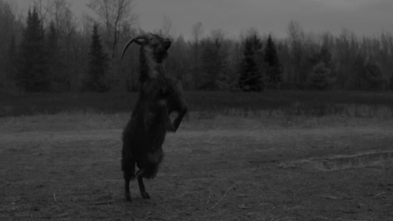 The Witch still 6
