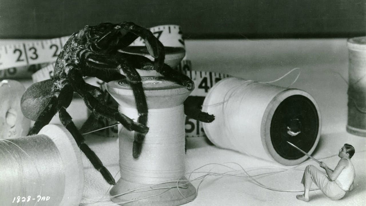 The Incredible Shrinking Man still 3