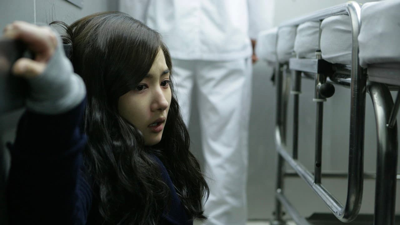 The Cat still 3