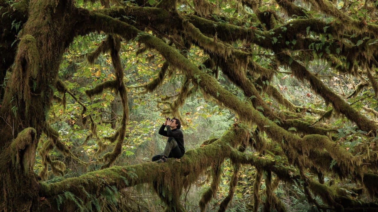 Whispers in the Woods still 3