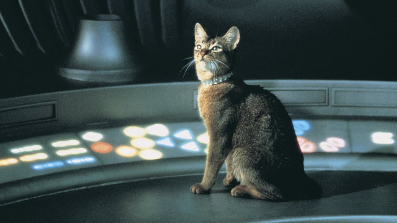 The Cat from Outer Space still 2
