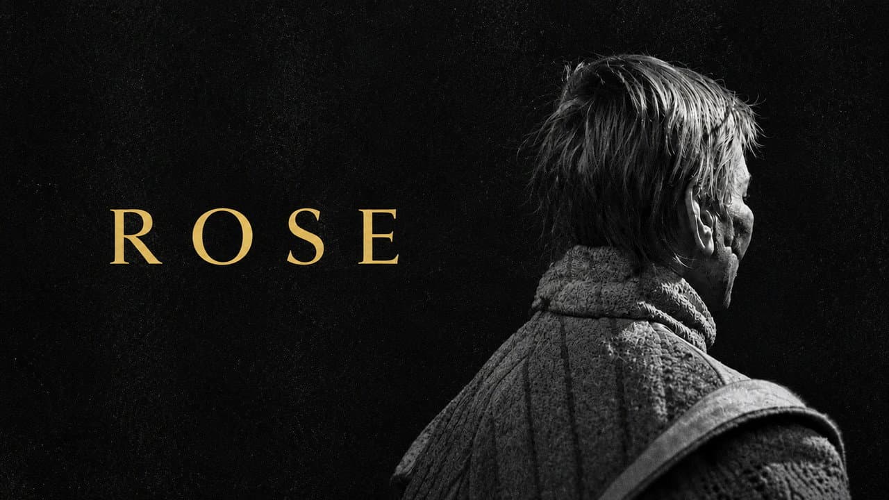 Rose still 6