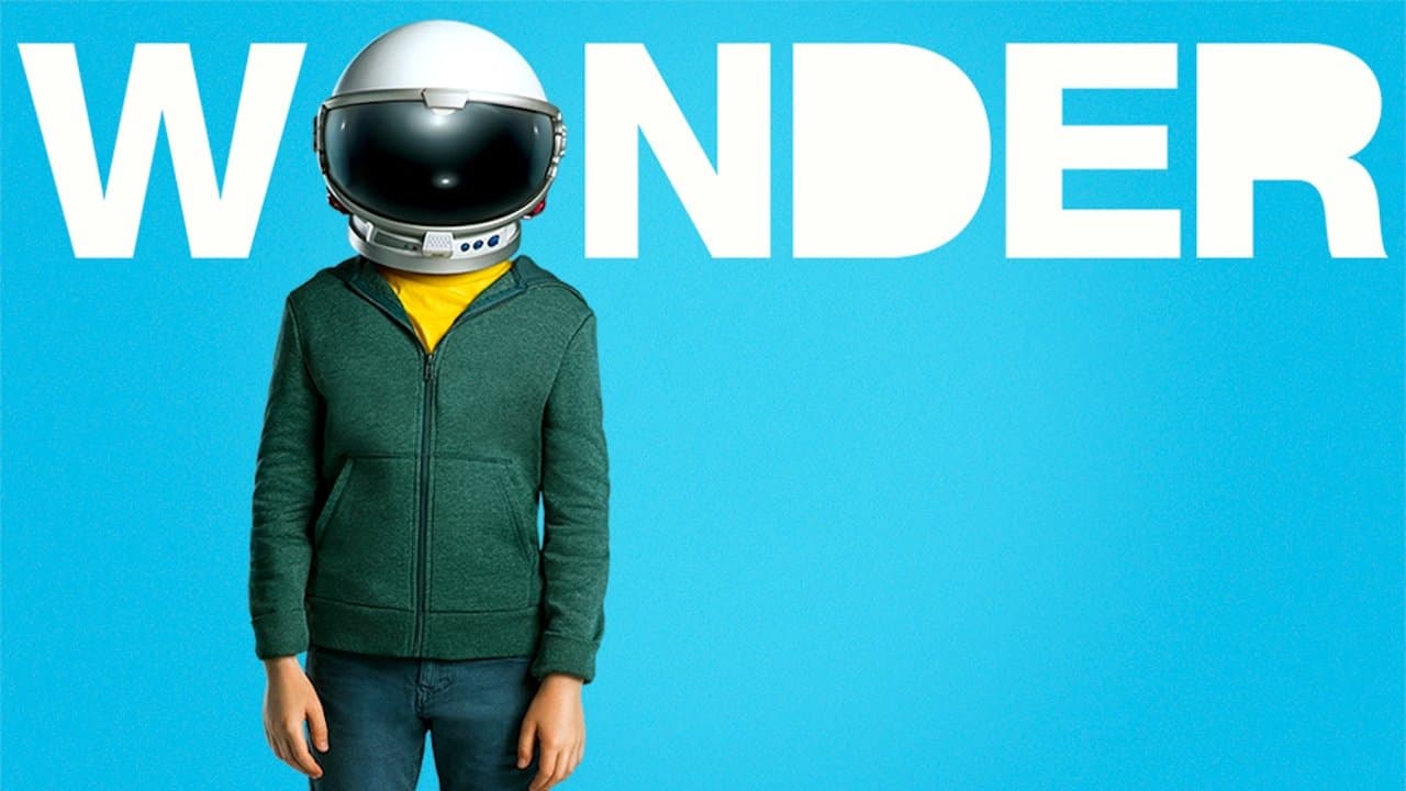 Wonder still 7