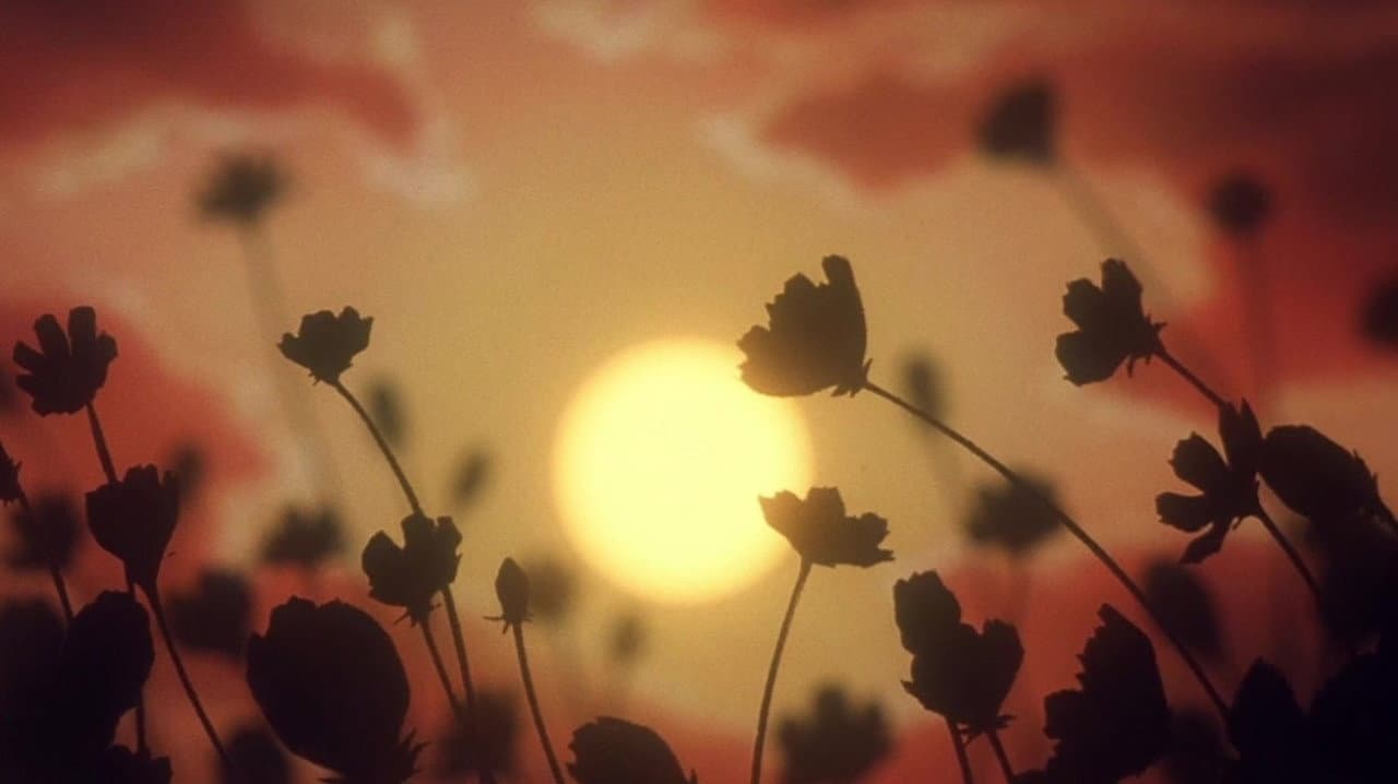 Escaflowne: The Movie still 7