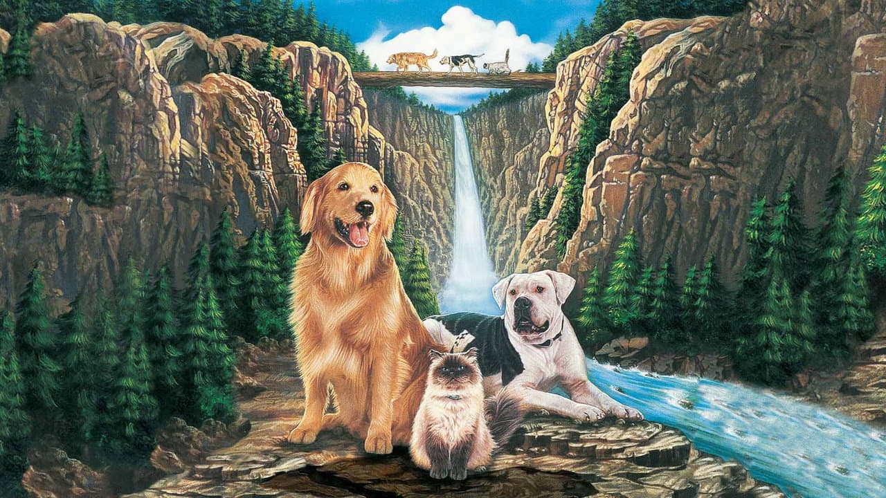 Homeward Bound: The Incredible Journey still 5