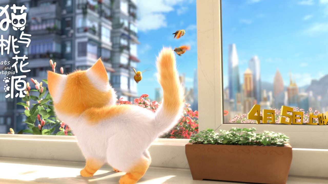 Cats still 3
