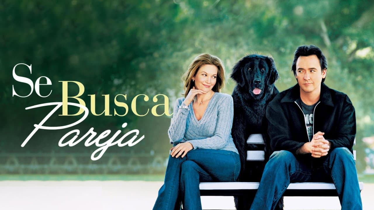 Must Love Dogs still 4